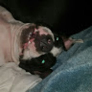 Meet your Posher, Julia